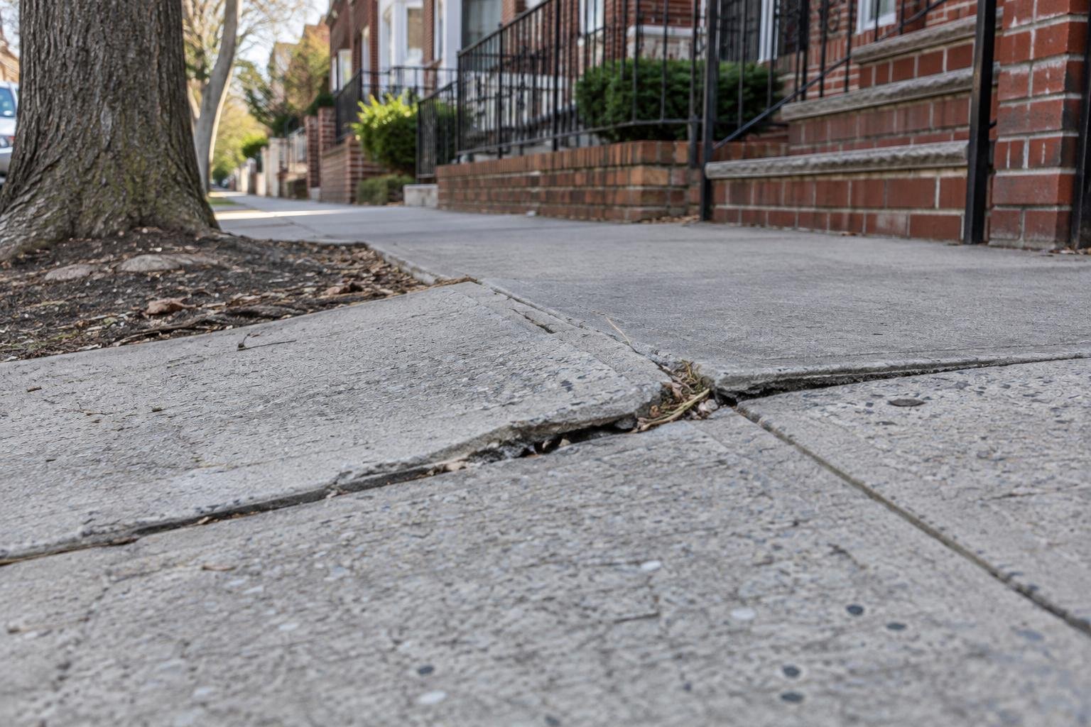 Cracked sidewalk flag with a raised edge near a street-tree pit.