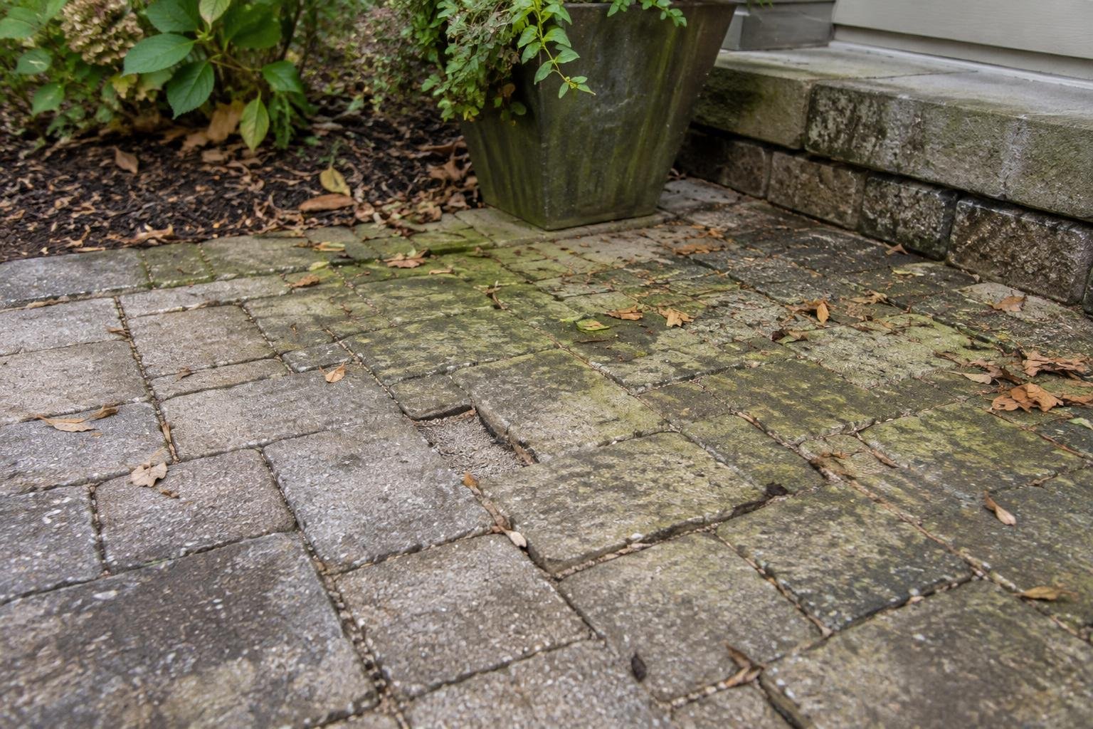 Leaf stains, green growth and low joint sand on a shaded concrete paver patio.